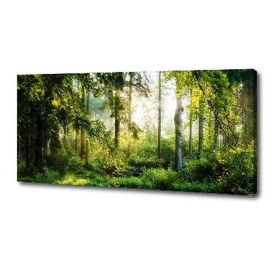 Bild auf leinwand Morgensonne Wald