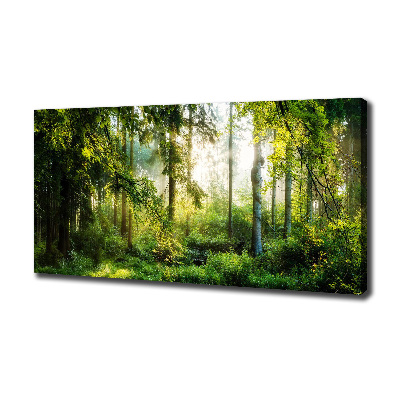 Bild auf leinwand Morgensonne Wald