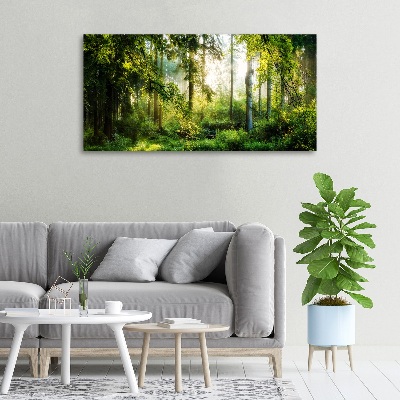Bild auf leinwand Morgensonne Wald