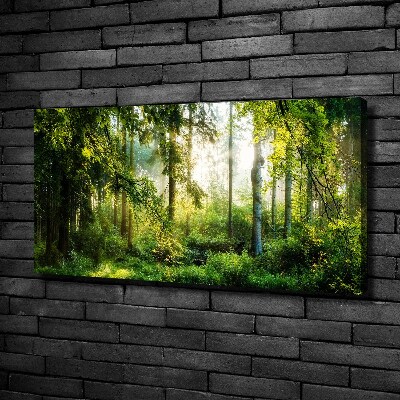 Bild auf leinwand Morgensonne Wald
