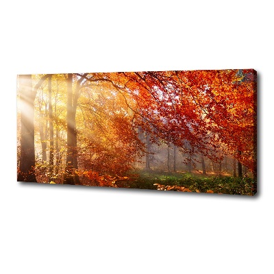 Bild auf leinwand Herbstwald