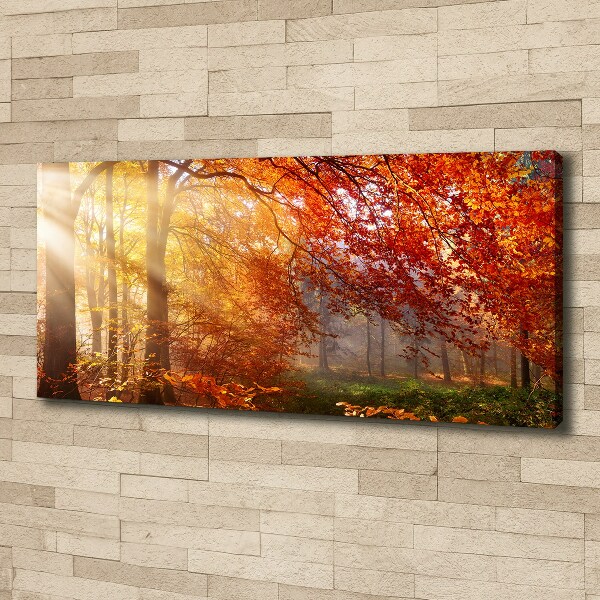 Bild auf leinwand Herbstwald