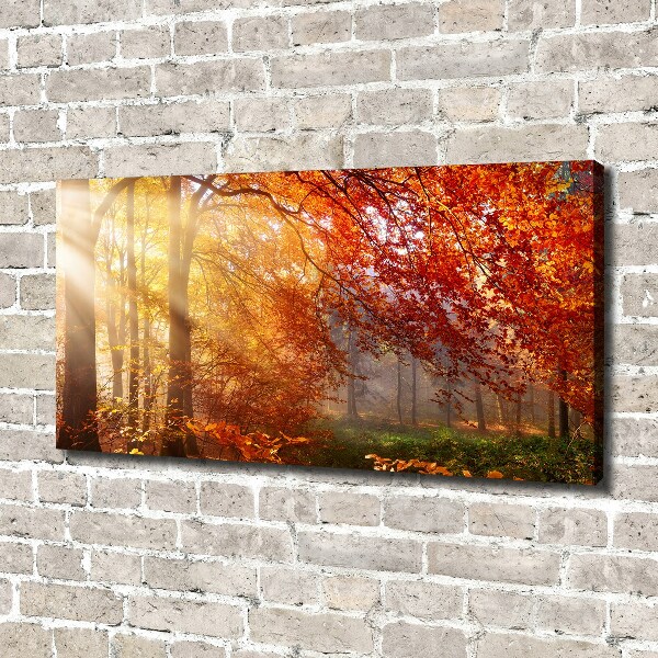 Bild auf leinwand Herbstwald