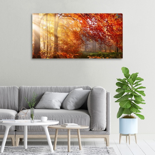 Bild auf leinwand Herbstwald