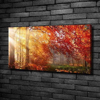 Bild auf leinwand Herbstwald