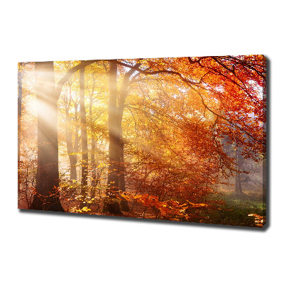Bild auf leinwand Herbstwald