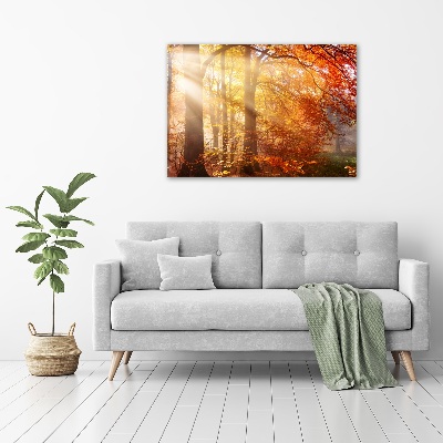 Bild auf leinwand Herbstwald
