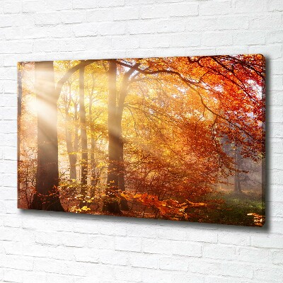 Bild auf leinwand Herbstwald