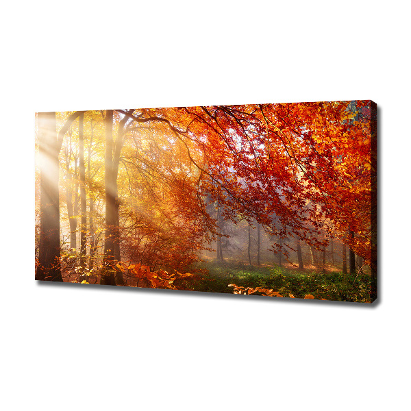 Bild auf leinwand Herbstwald