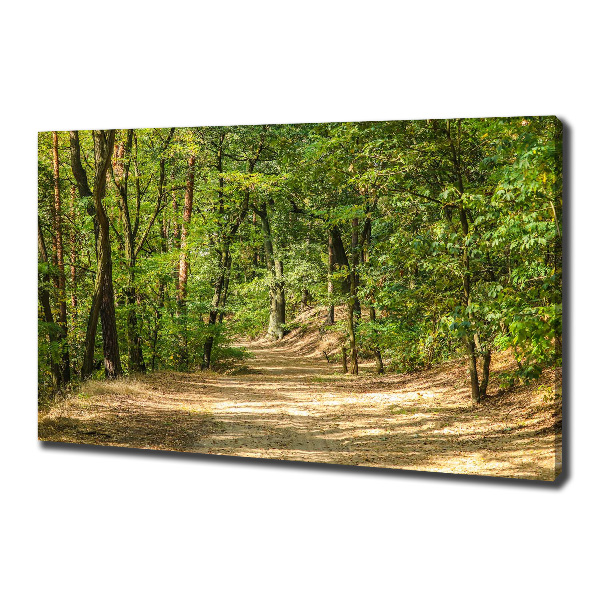 Wandbild Waldweg