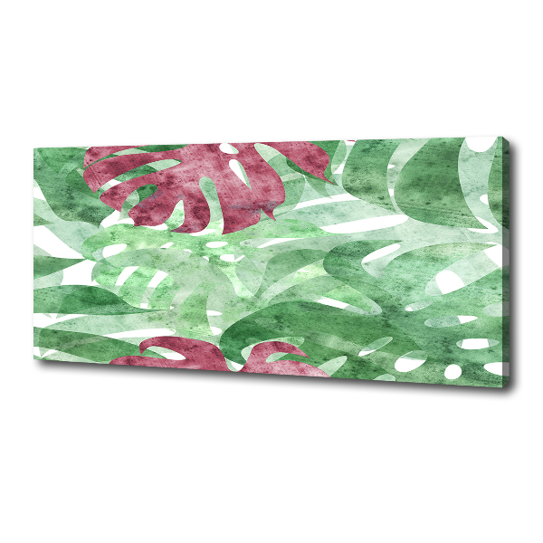 Bild auf leinwand Monstera