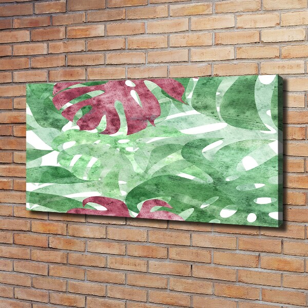 Bild auf leinwand Monstera