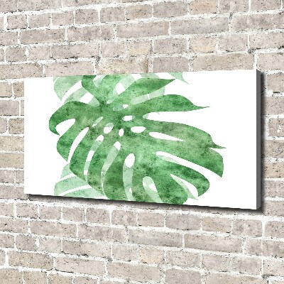 Wandbild Monstera
