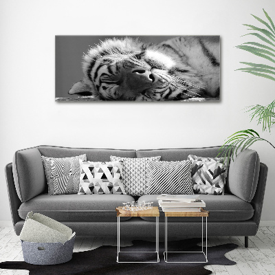 Bild auf leinwand Schlafender Tiger