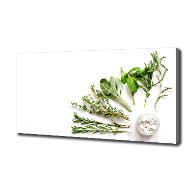 Bild auf leinwand Kräuter