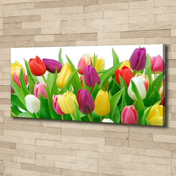 Wandbild Bunte Tulpen