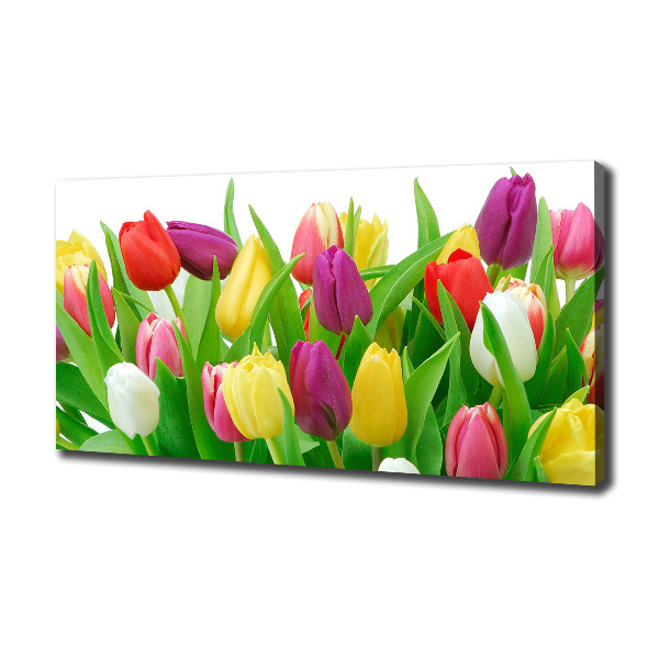 Wandbild Bunte Tulpen