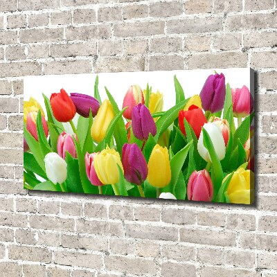 Wandbild Bunte Tulpen