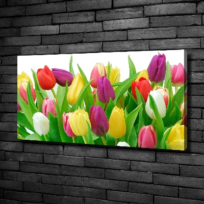 Wandbild Bunte Tulpen