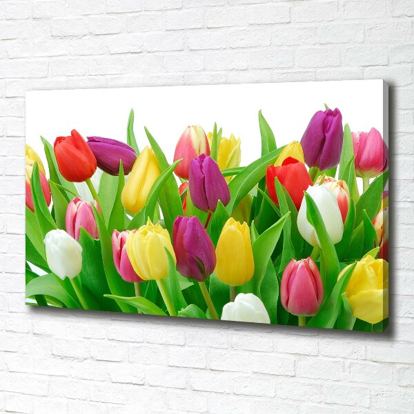 Wandbild Bunte Tulpen