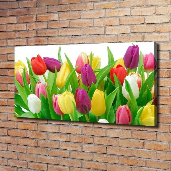 Wandbild Bunte Tulpen