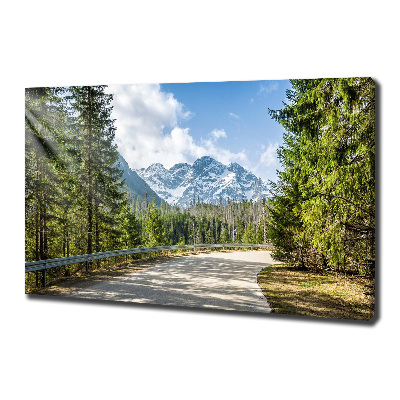 Bild auf leinwand Tatra-Gebirge-Straße