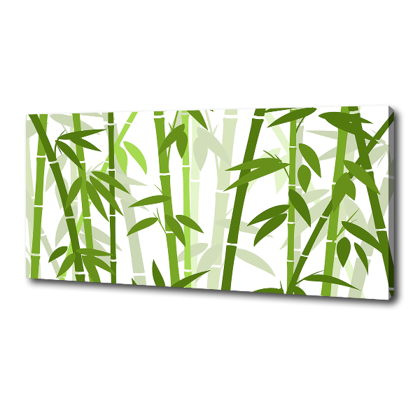 Fotobild Bambus