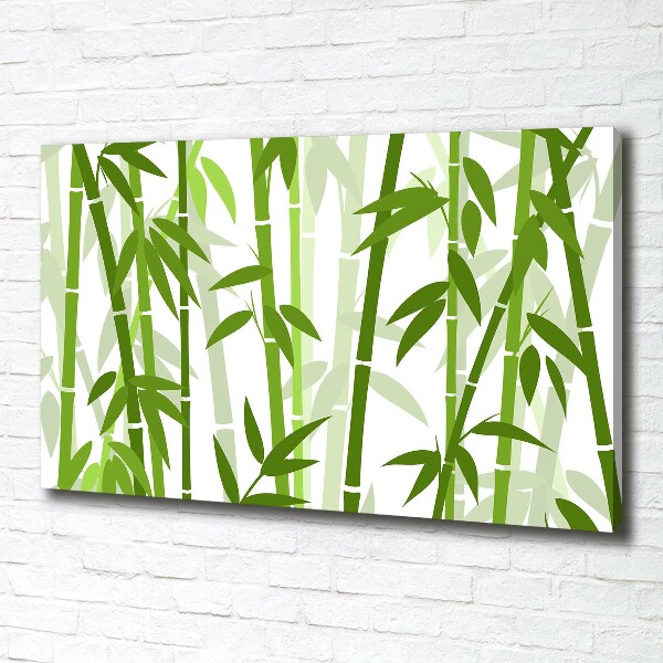 Fotobild Bambus