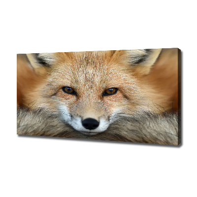 Bild auf leinwand Fuchs
