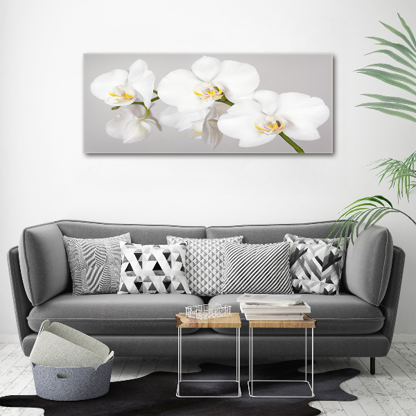 Wandbild Orchidee