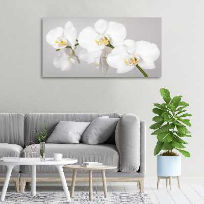 Wandbild Orchidee