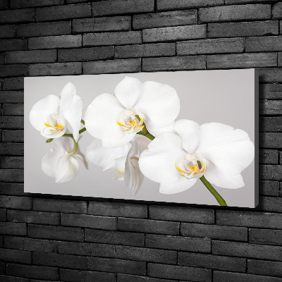 Wandbild Orchidee