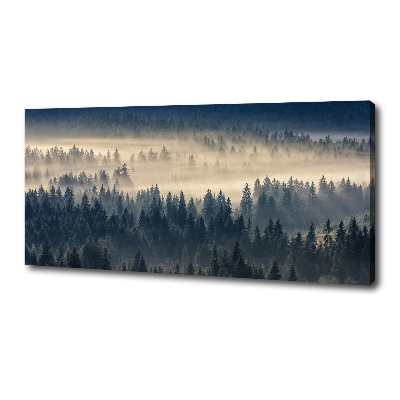 Bild auf leinwand Nebel über dem Wald