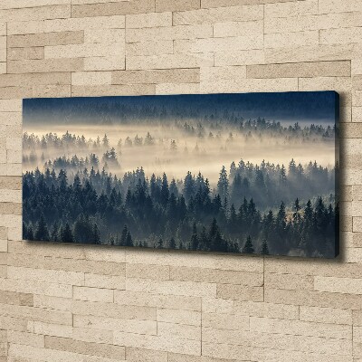 Bild auf leinwand Nebel über dem Wald