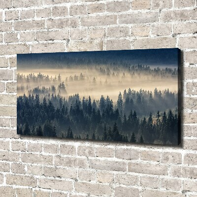 Bild auf leinwand Nebel über dem Wald