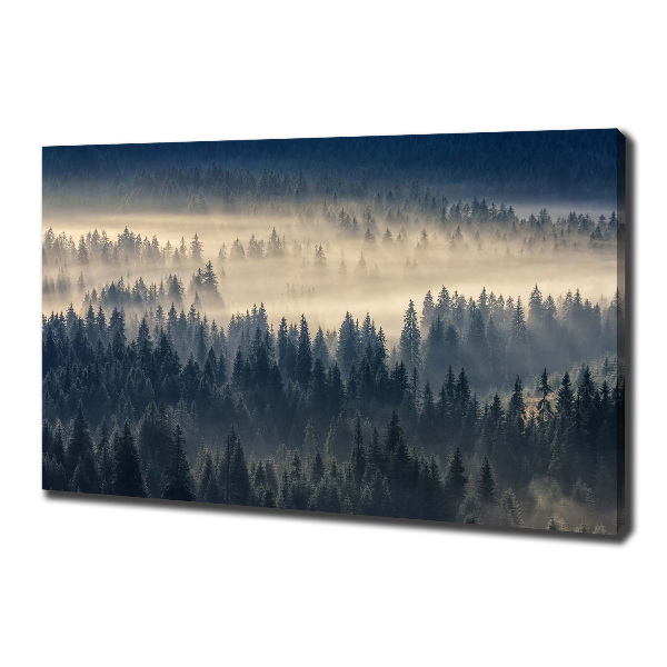Bild auf leinwand Nebel über dem Wald