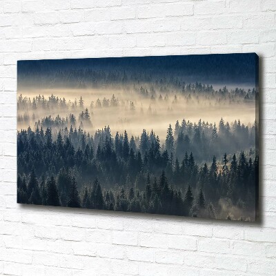 Bild auf leinwand Nebel über dem Wald
