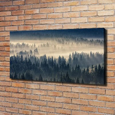 Bild auf leinwand Nebel über dem Wald