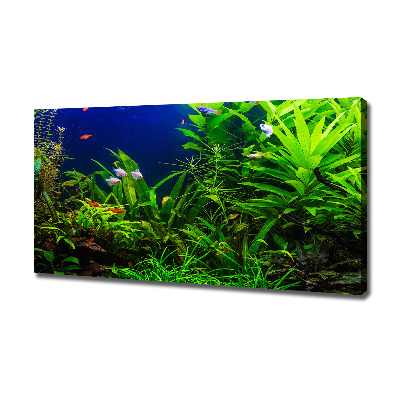 Wandbild Fische im Aquarium