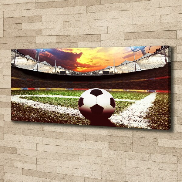 Bild auf leinwand Ball im Stadion