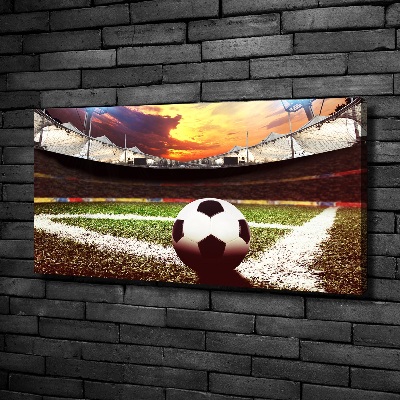 Bild auf leinwand Ball im Stadion