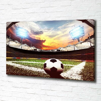 Bild auf leinwand Ball im Stadion