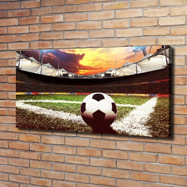 Bild auf leinwand Ball im Stadion