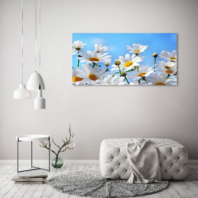 Bild auf leinwand Gänseblümchen