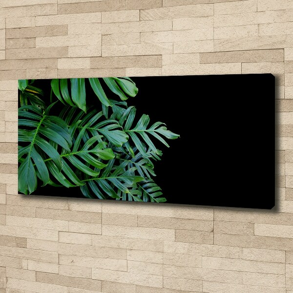 Wandbild Monstera
