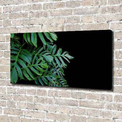 Wandbild Monstera