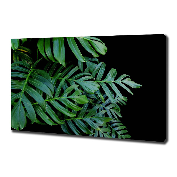 Wandbild Monstera