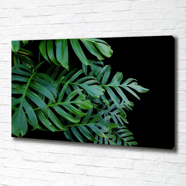 Wandbild Monstera