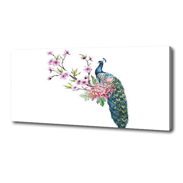 Fotobild Pfau und Blumen