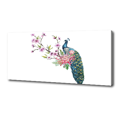Fotobild Pfau und Blumen
